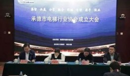 承德市头条爆料新闻,惊曝重大事件，揭秘背后真相！